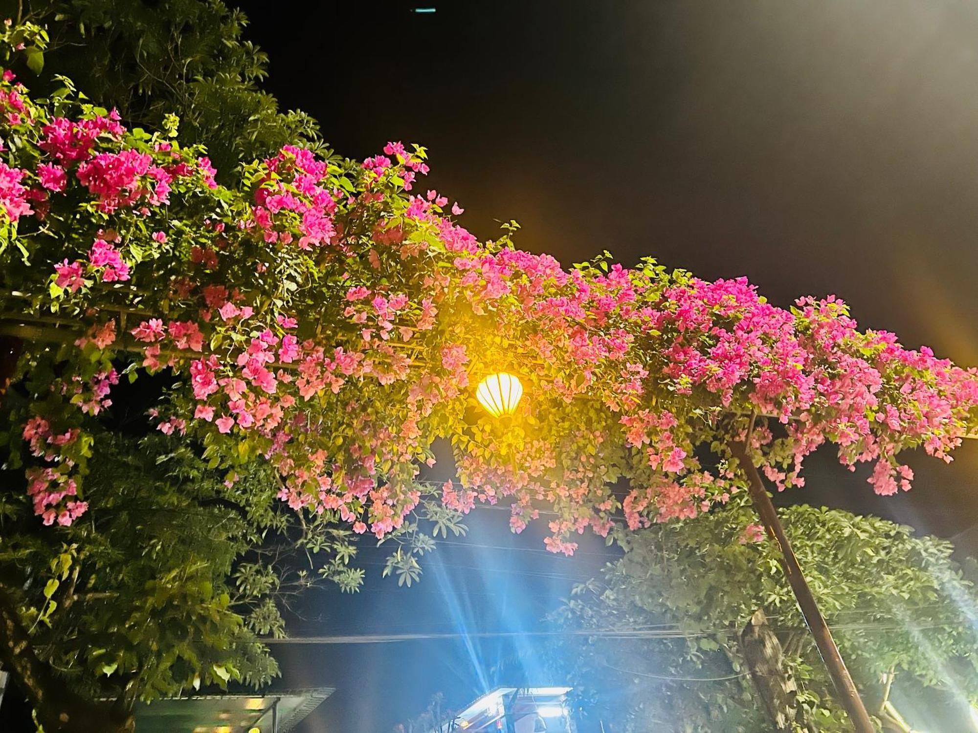 Apartamento Phong Nha Tuan Garden House Exterior foto